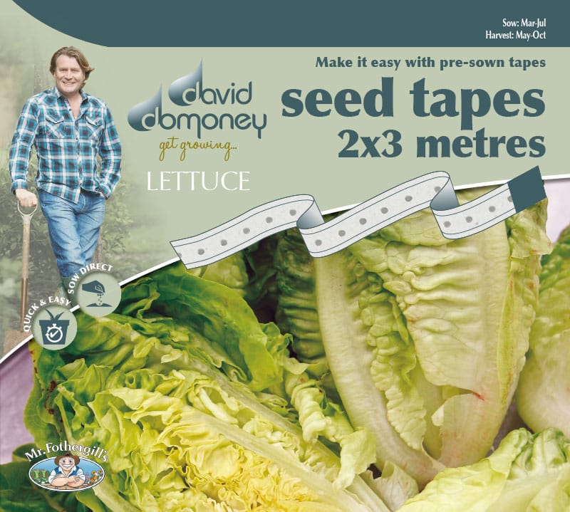 Tape-Lettuce-Little-Gem Grow your own Lettuce Little Gem Seed Tape
