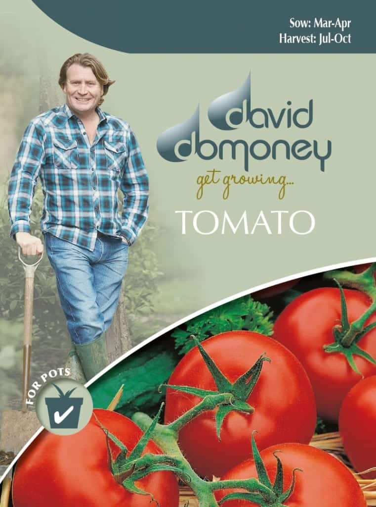 Grow your own Tomato seeds