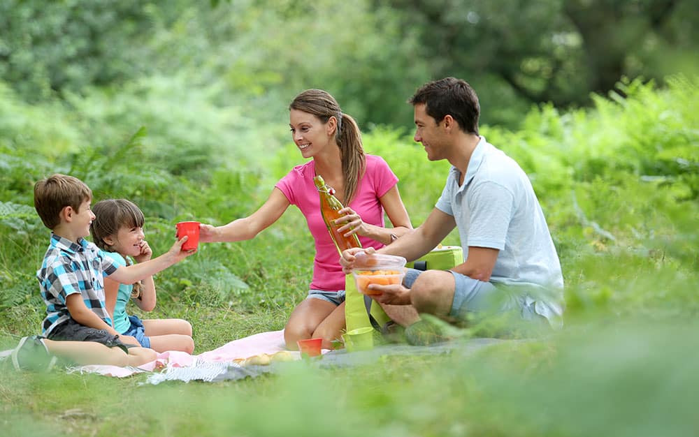 picnic-family-park