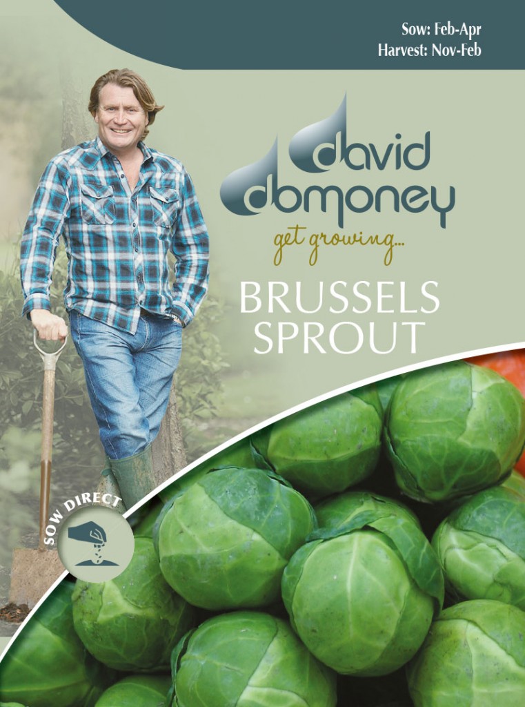 Grow your own Brussels Sprout seeds