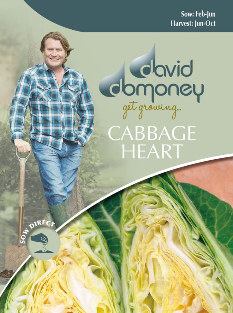 Grow your own Cabbage Heart