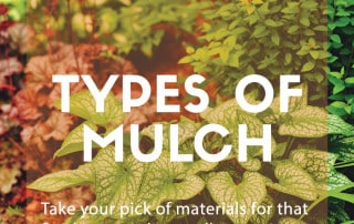 mulch garden