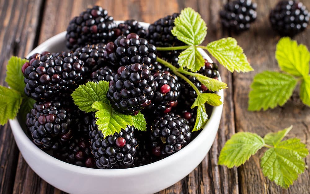 blackberry-bowl