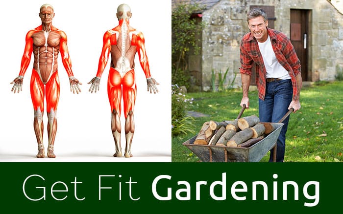Gardening Is A Great Way To Lose Weight And Keep Fit David Domoney