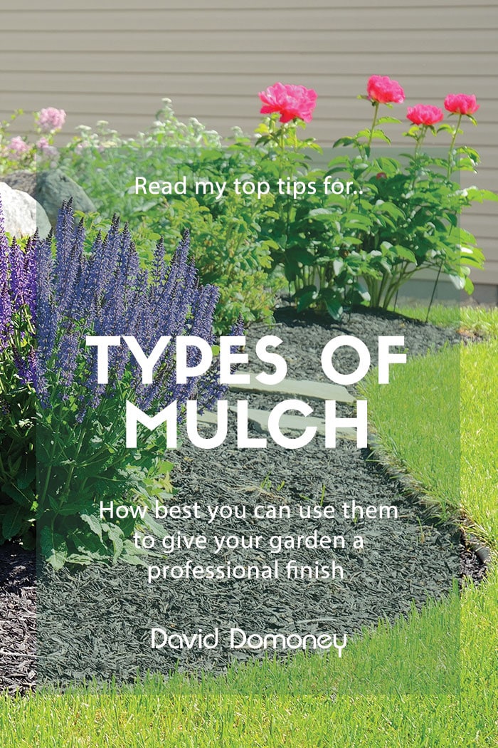 Types Of Mulch And How To Use Them David Domoney