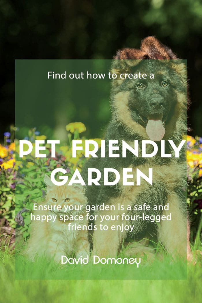 pet friendly garden