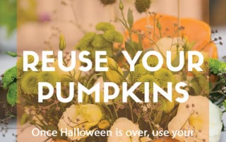 reuse pumpkins