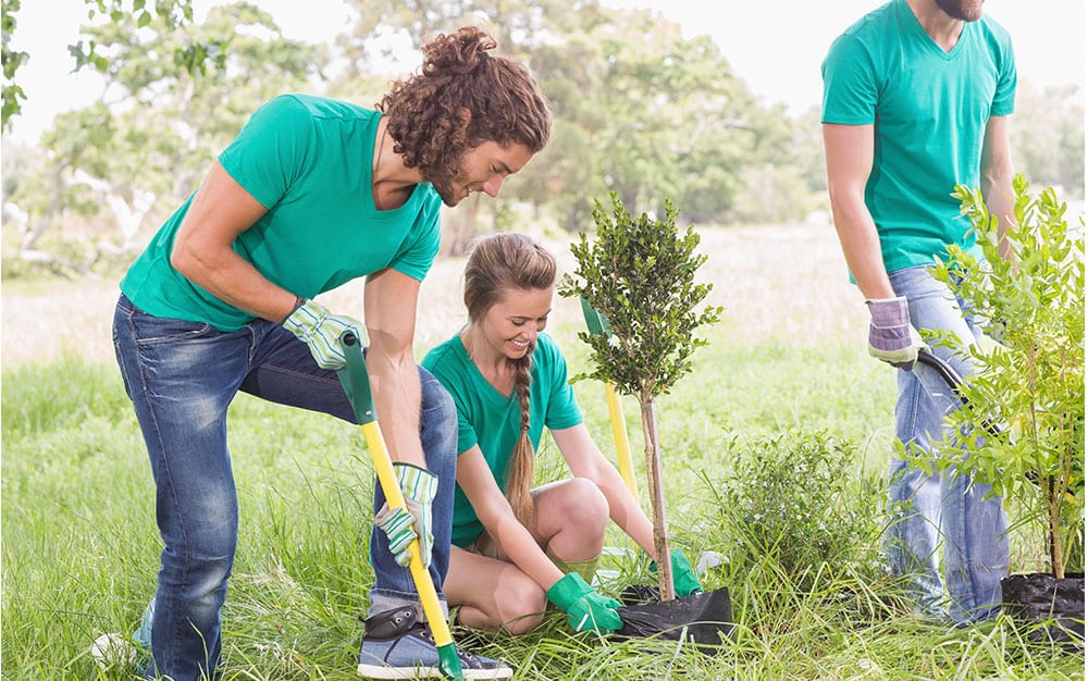 community-gardening