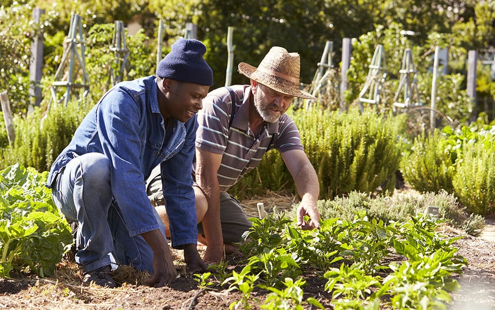 gardening