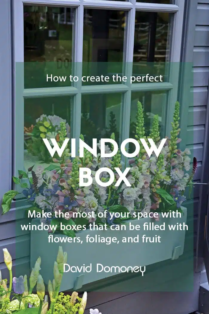 How to create the perfect window box
