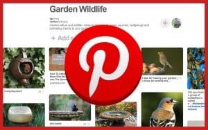 garden-wildlife pinterest board