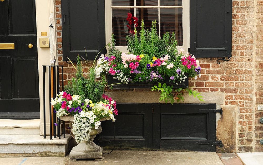 window box