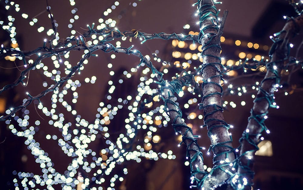 tree-light tree-light