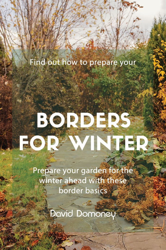 winter borders