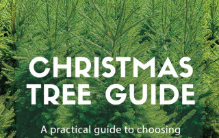 christmas tree guide