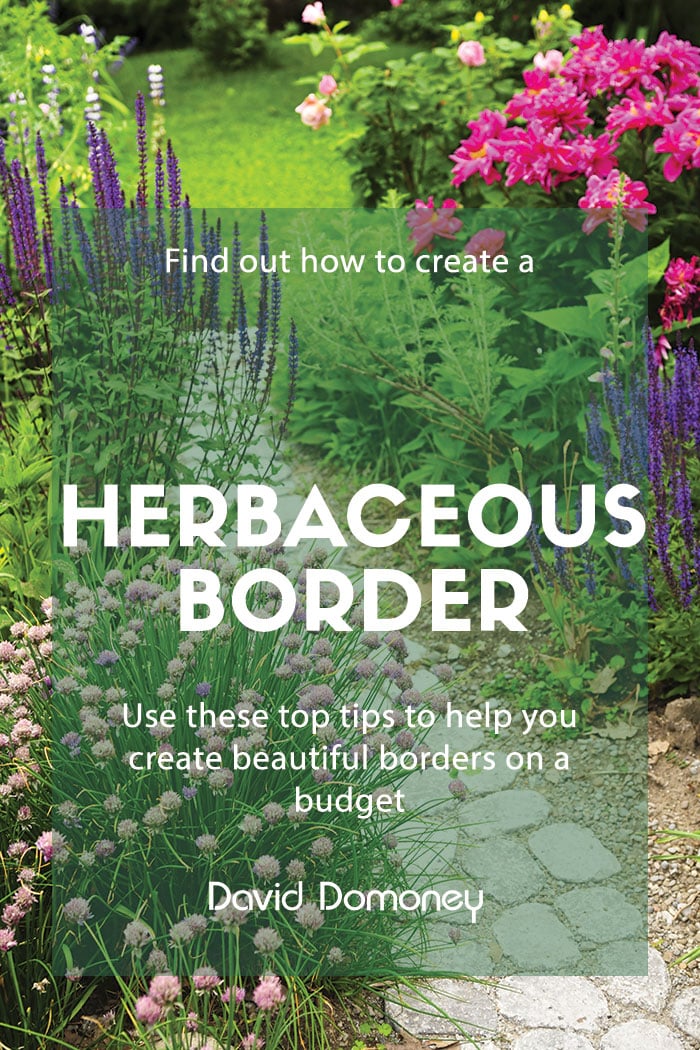 How To Create A Herbaceous Border On Budget David Domoney - How To Plan A Garden Border Uk