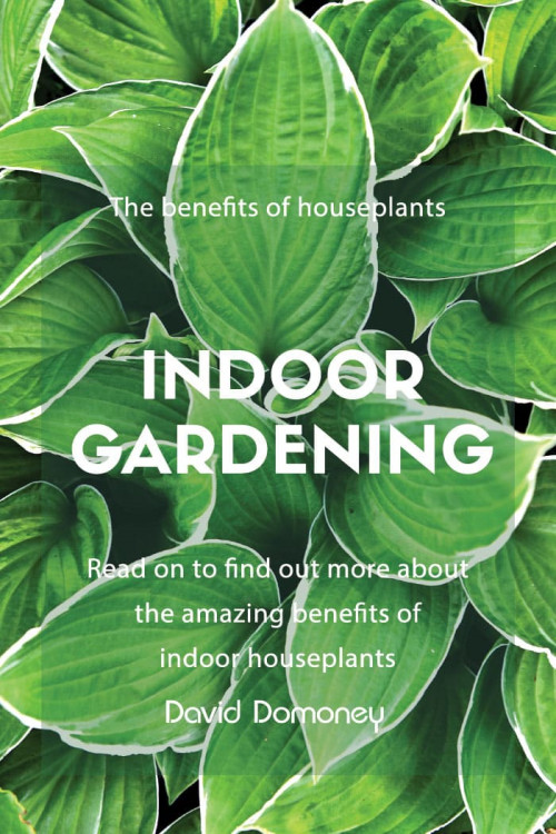 Indoor Gardening: The benefits of houseplants - David Domoney