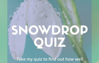 snowdrop quiz