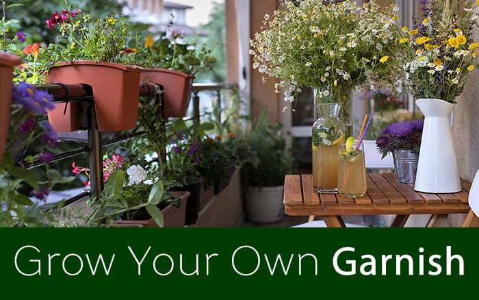 grow-your-own-garnish