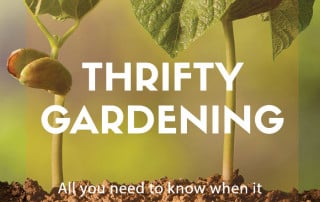 thrifty gardening