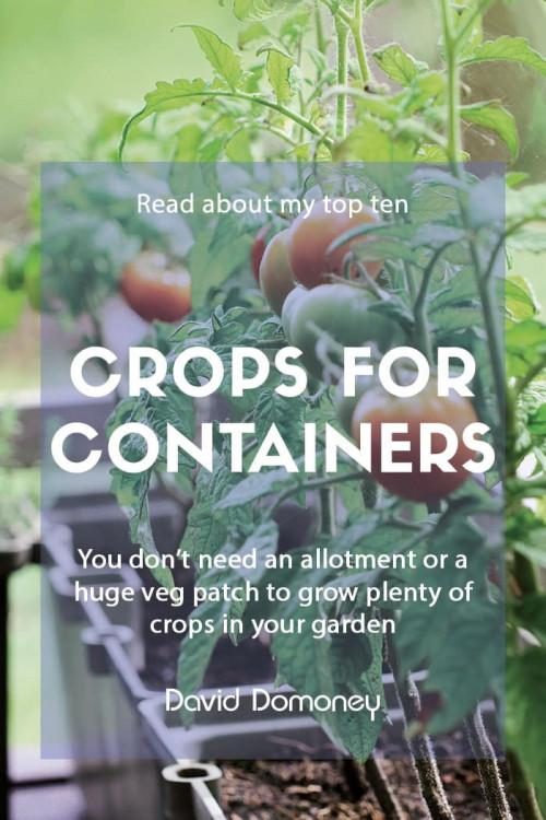 Crops for containers