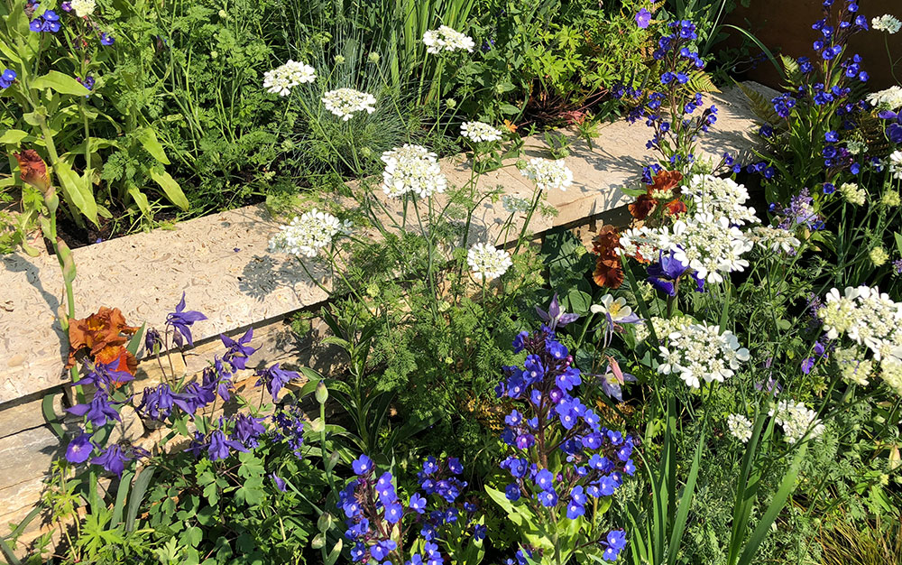 Chelsea Flower Show 2018 Plants Rose-petal-salad-2