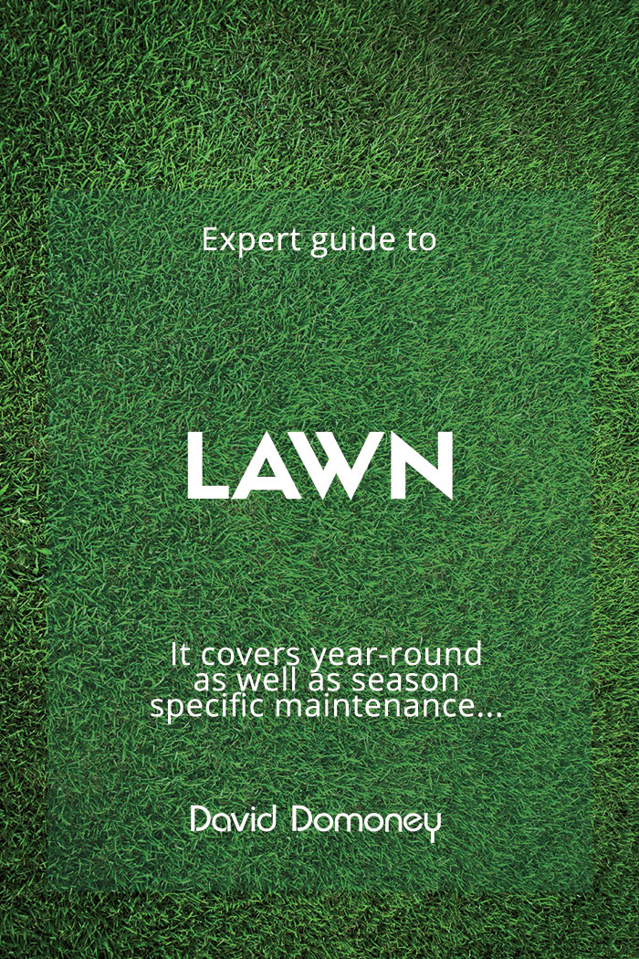 Lawn