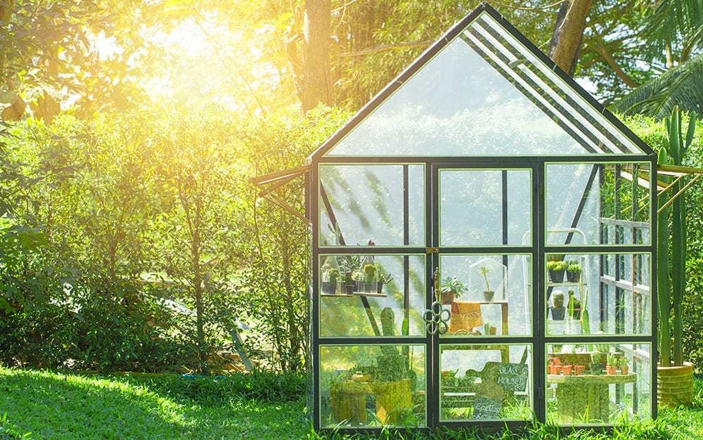 Garden-greenhouse