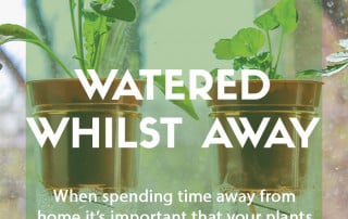 Keep your plants watered whilst away