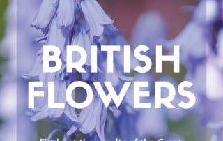 british flowers feature image