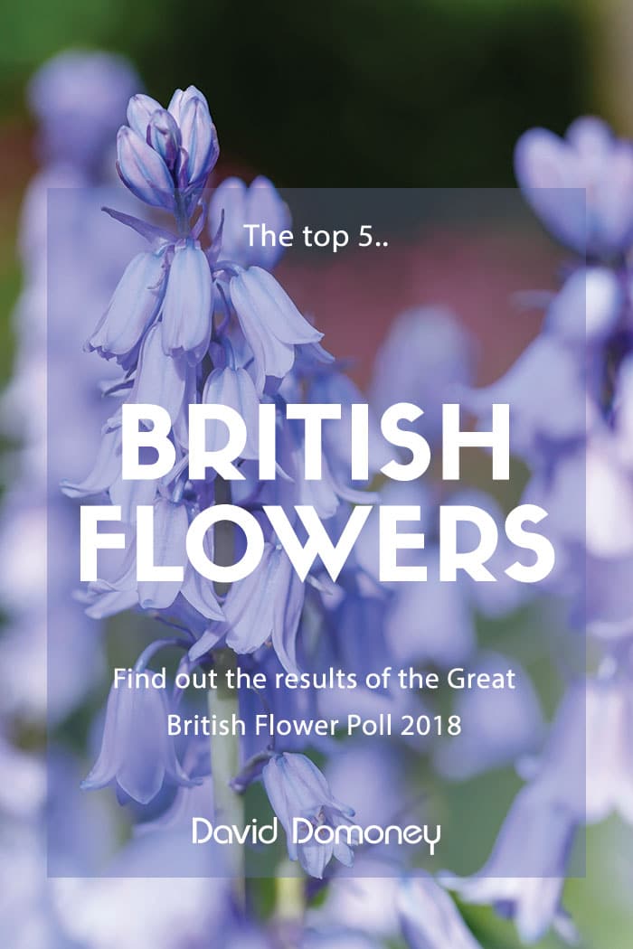 british flowers