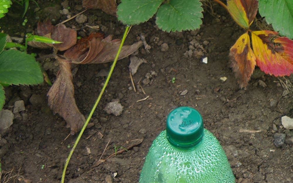 plastic-bottle-buried