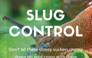 slug control