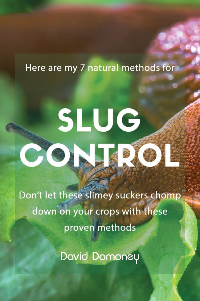 slug control