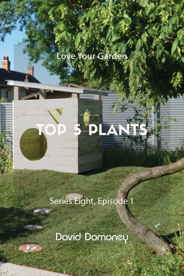 Love Your Garden Top 5 Plants Series 8 Episode 1