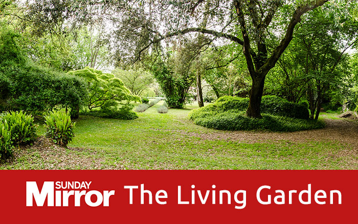 Sunday Mirror article the living garden