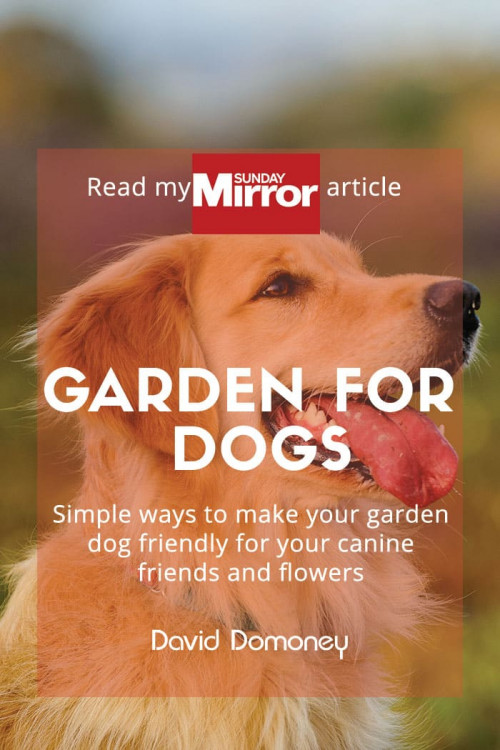 garden for dogs