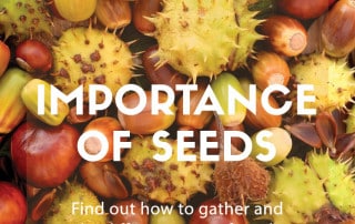 importance of seeds