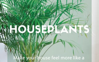 power of plants houseplants