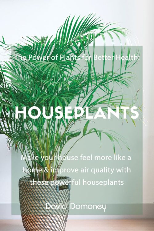 power of plants houseplants