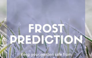 predict frost