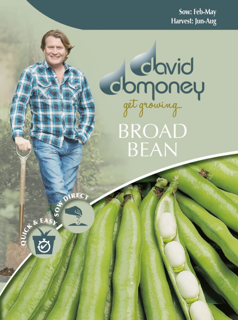 get growing broad bean - david domoney's seeds