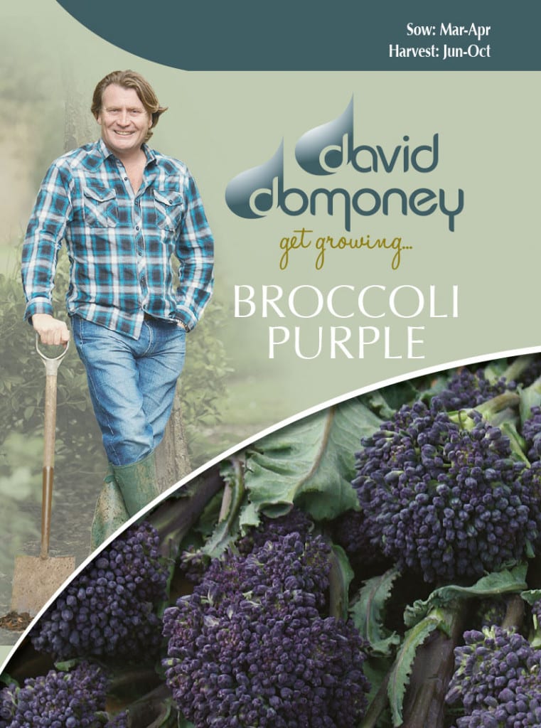 broccoli purple seeds david domoney