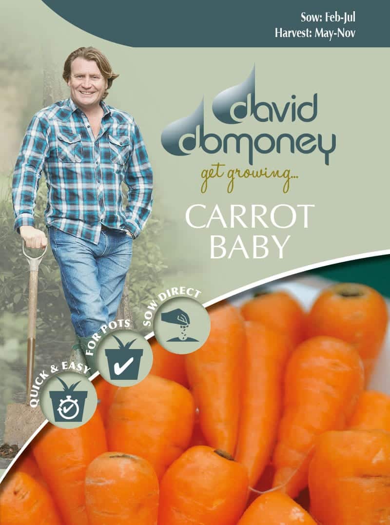 baby carrot david domoney seeds