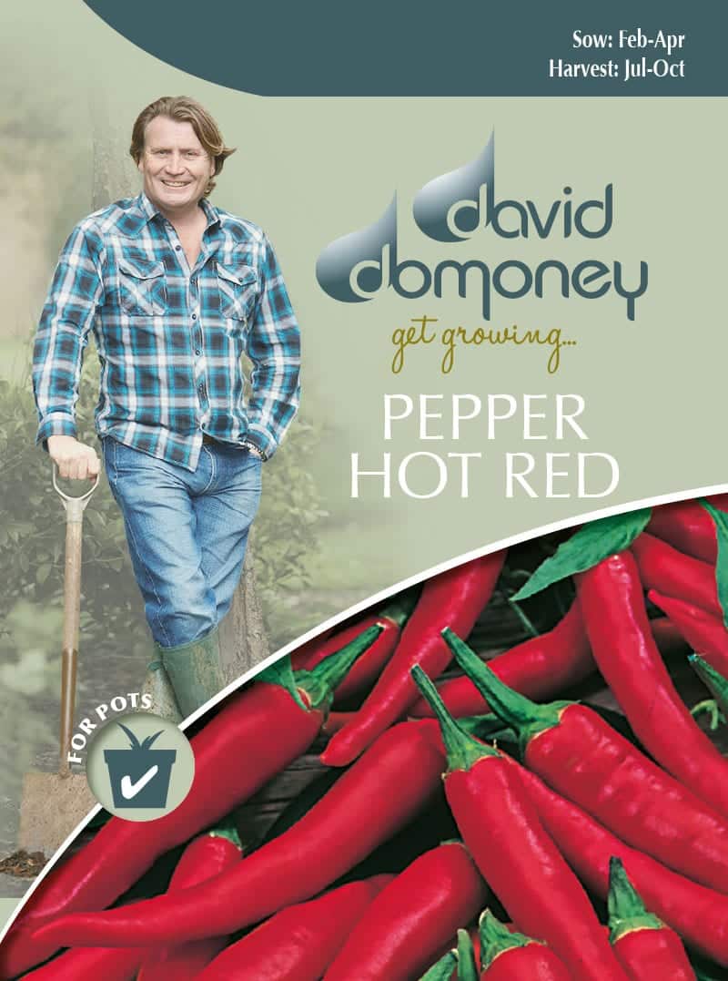 Pepper-hot-red