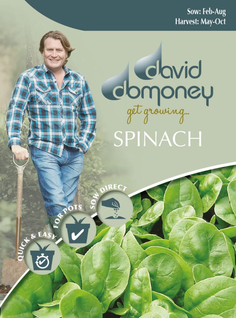 Spinach seeds - David Domoney