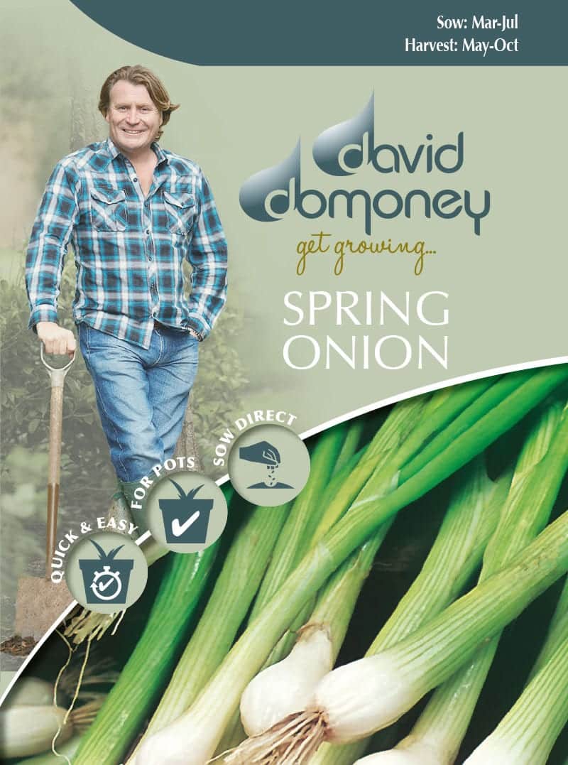 spring onion seeds david domoney