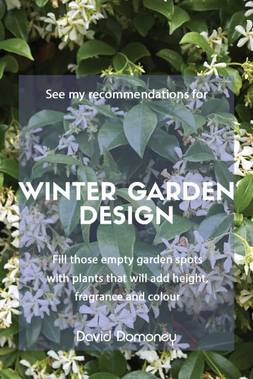 Winter garden design