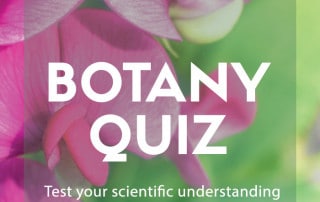 botany quiz