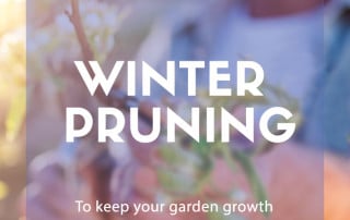 winter pruning